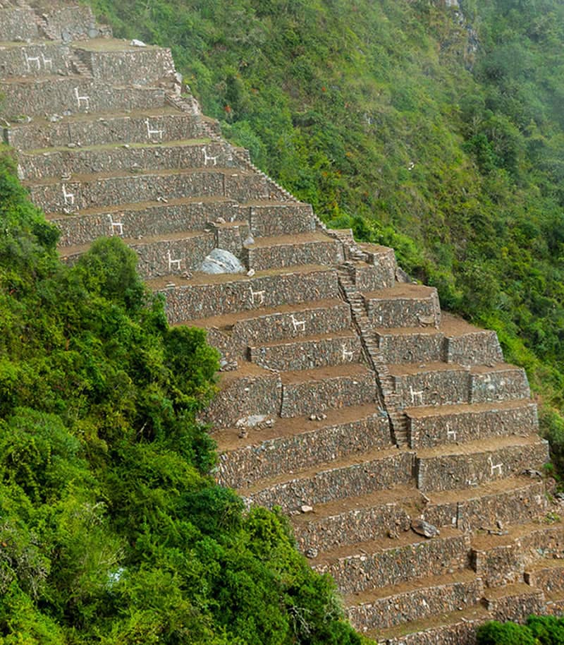 Choquequirao Trek